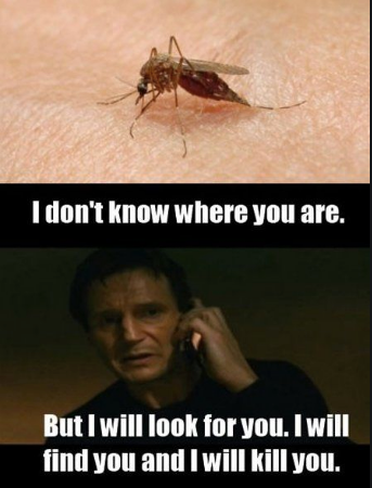 ZZZZZ: Bye Mosquitos! Hablemos de repelentes