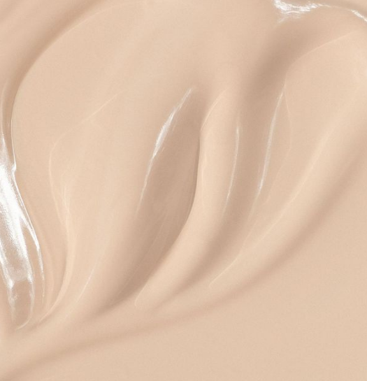 SKIN EQUAL Organic Foundation con SPF15 PORCELAIN 10